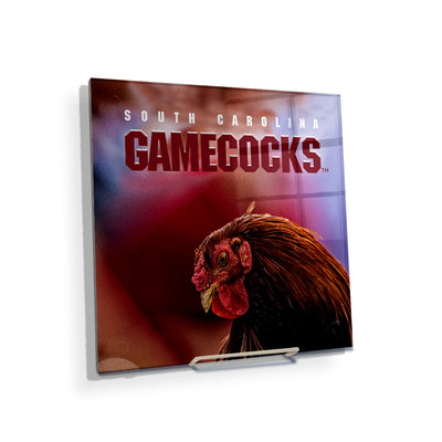 South Carolina Gamecocks - Sir Big Spur #AcrylicMini