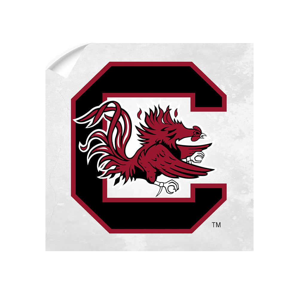 South Carolina Gamecocks 