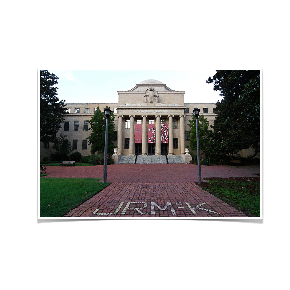 South Carolina Gamecocks - McKissick Paint - College Wall Art #Canvas