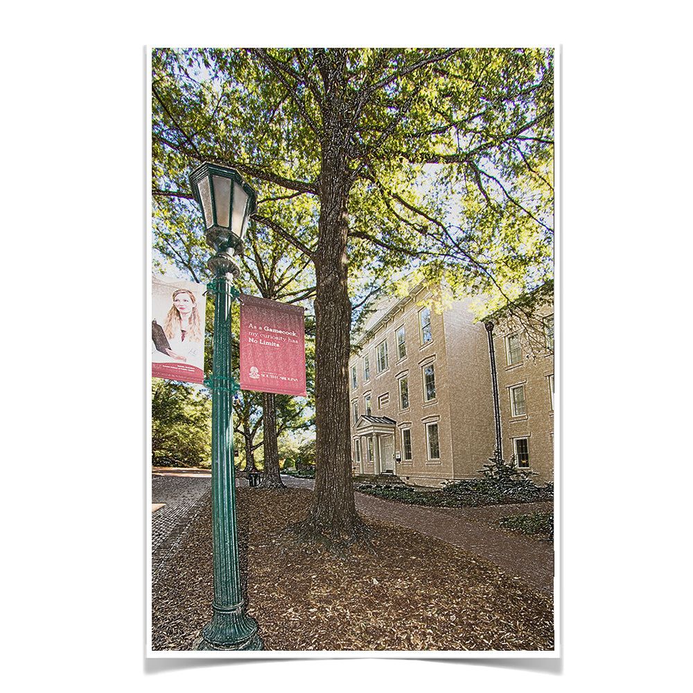 South Carolina Gamecocks - No Limits - College Wall Art #Canvas