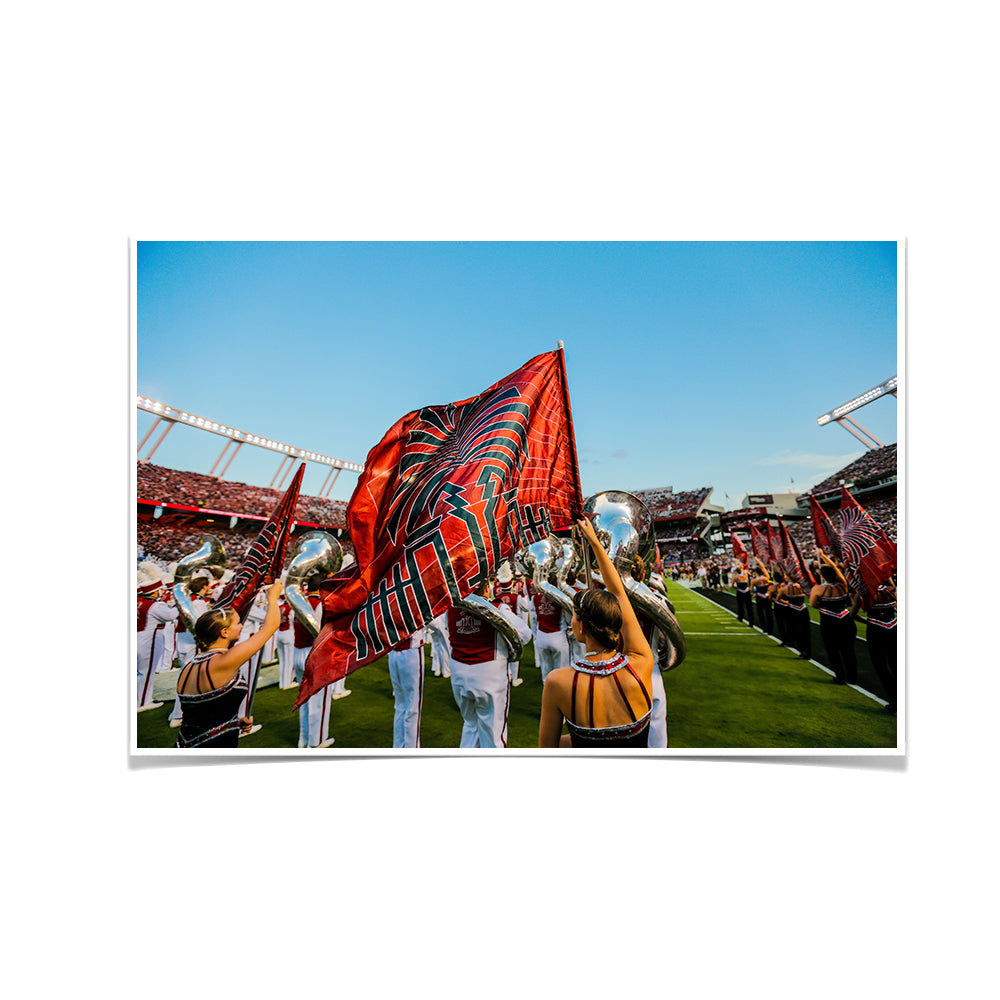 South Carolina Gamecocks - Half Time Flag - College Wall Art #Canvas