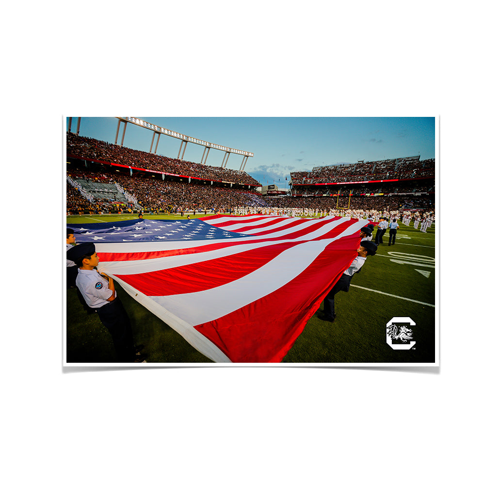 South Carolina Gamecocks - Made in America - College Wall Art #Canvas