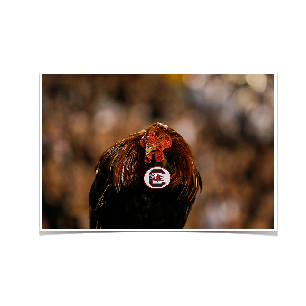 South Carolina Gamecocks - Big Spur - College Wall Art #Canvas