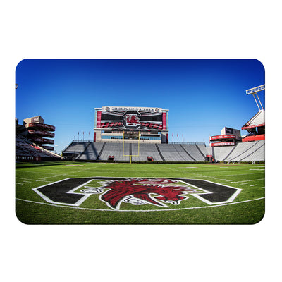 South Carolina Gamecocks - Williams Brice from the 50 - College Wall Art #PVC