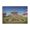 South Carolina Gamecocks - Williams Brice from the 50 - College Wall Art #Wood