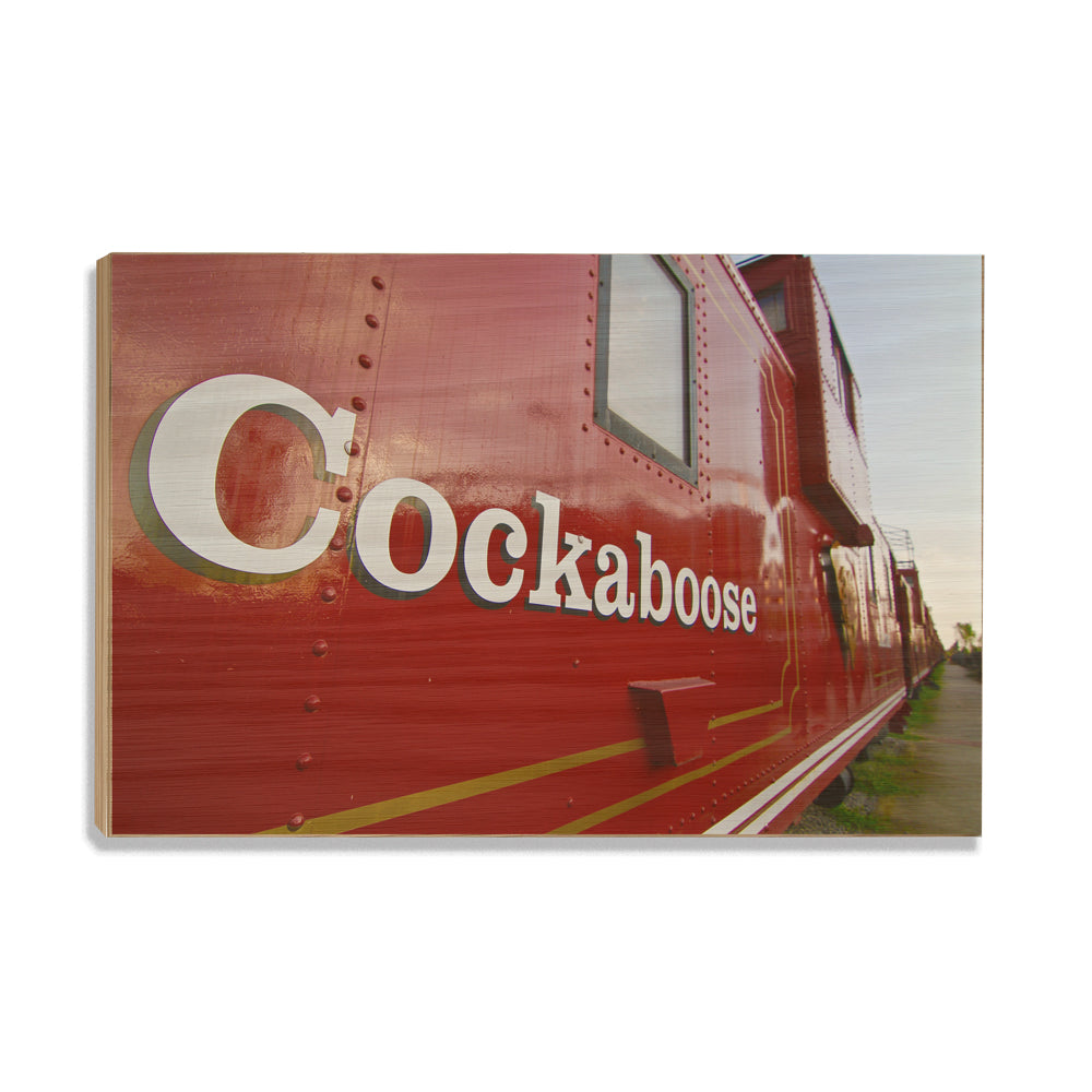 South Carolina Gamecocks - Cockaboose - College Wall Art #Canvas