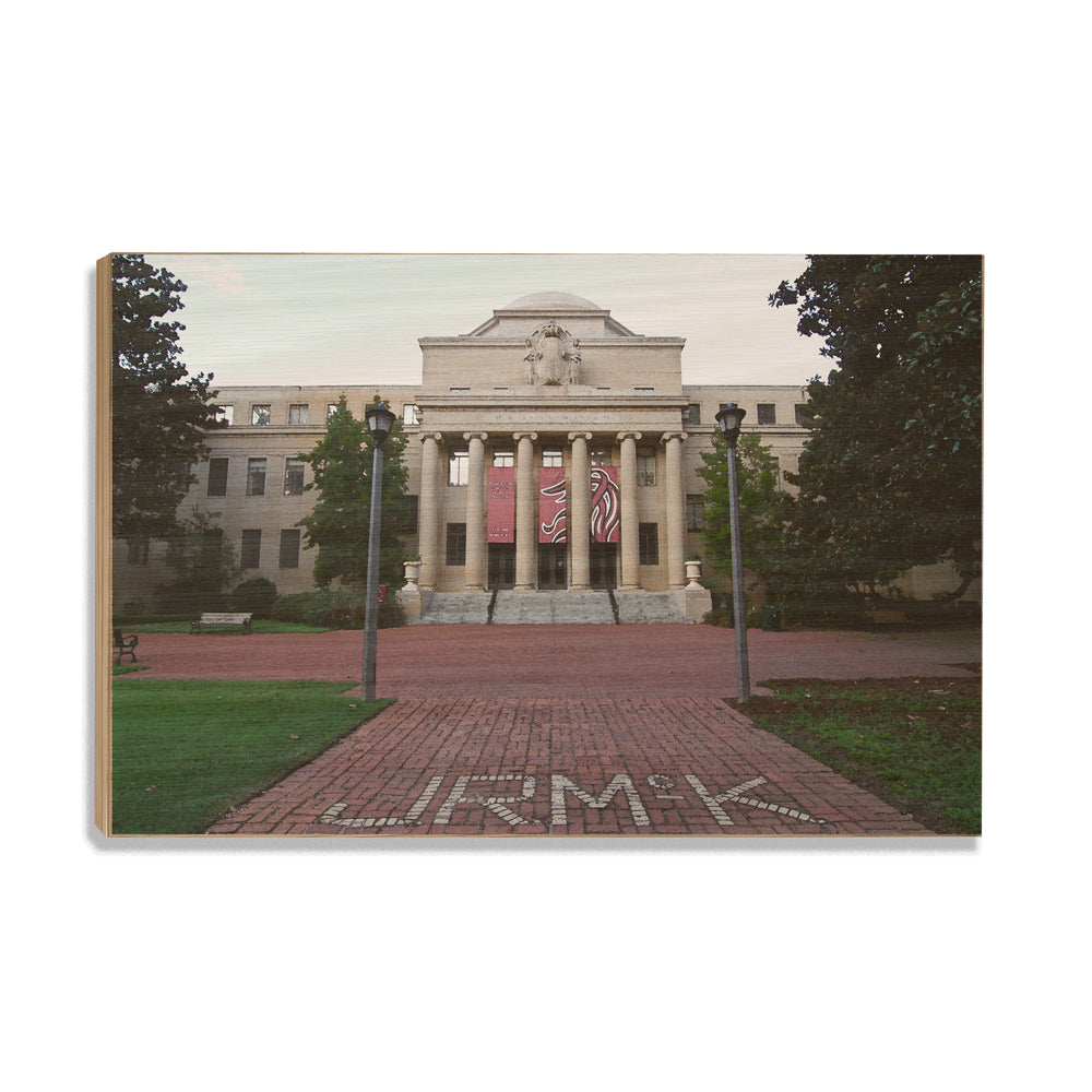 South Carolina Gamecocks - McKissick Paint - College Wall Art #Canvas