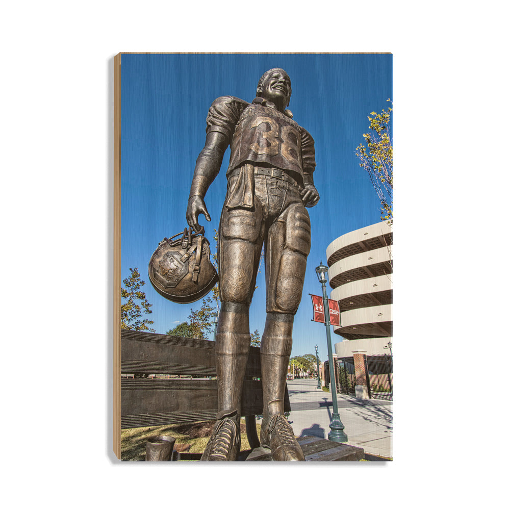 South Carolina Gamecocks - #38 - College Wall Art #Canvas