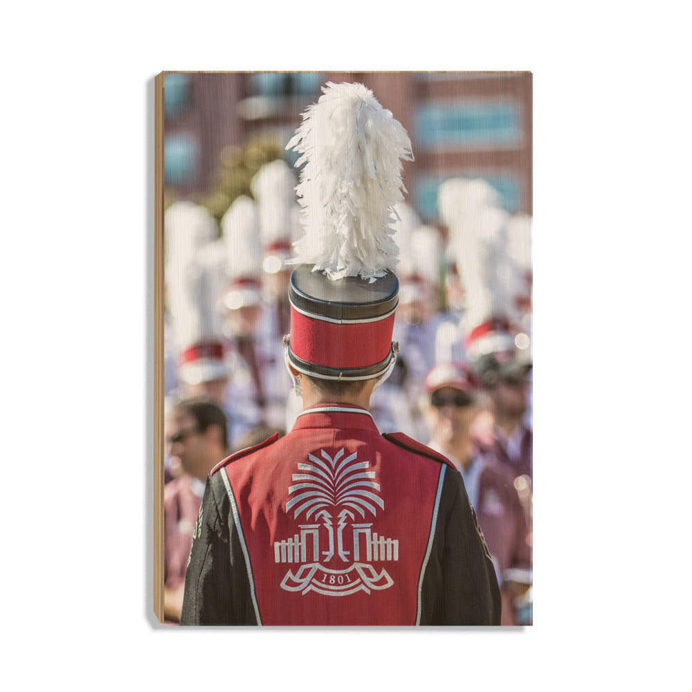South Carolina Gamecocks - 1801 - College Wall Art #Canvas