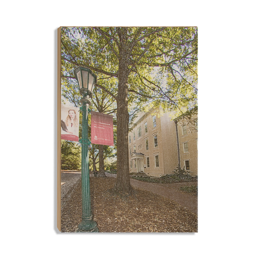 South Carolina Gamecocks - No Limits - College Wall Art #Canvas