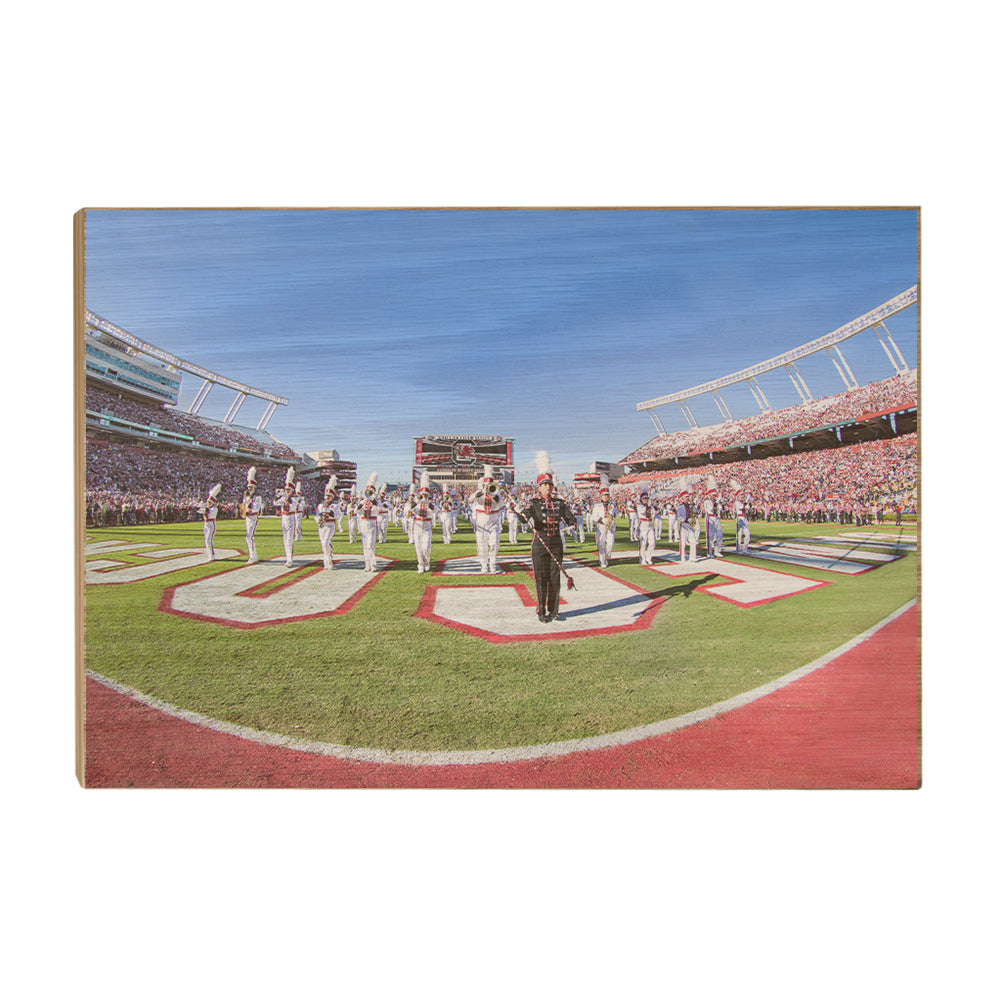South Carolina Gamecocks - Half Time - College Wall Art #Canvas