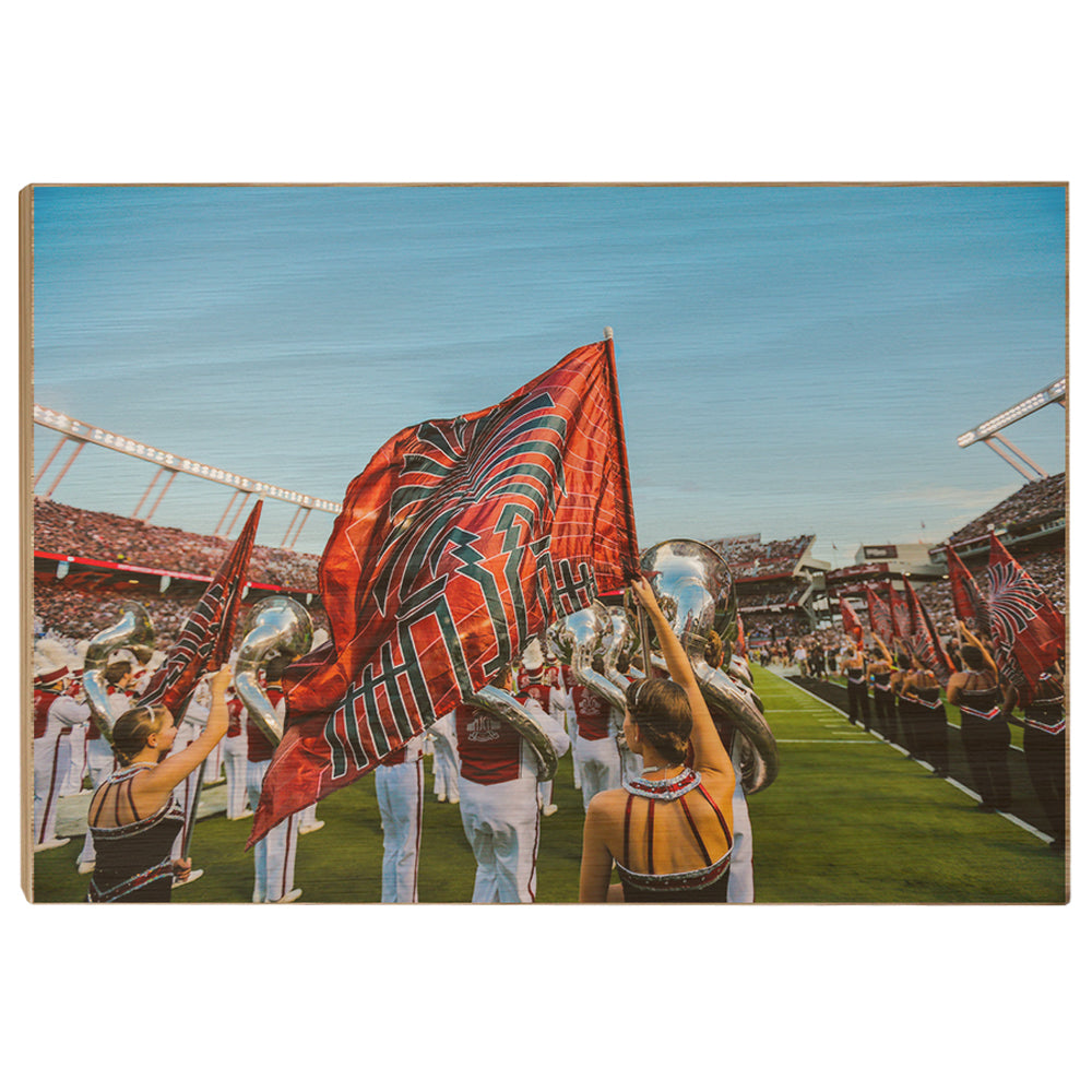 South Carolina Gamecocks - Half Time Flag - College Wall Art #Canvas