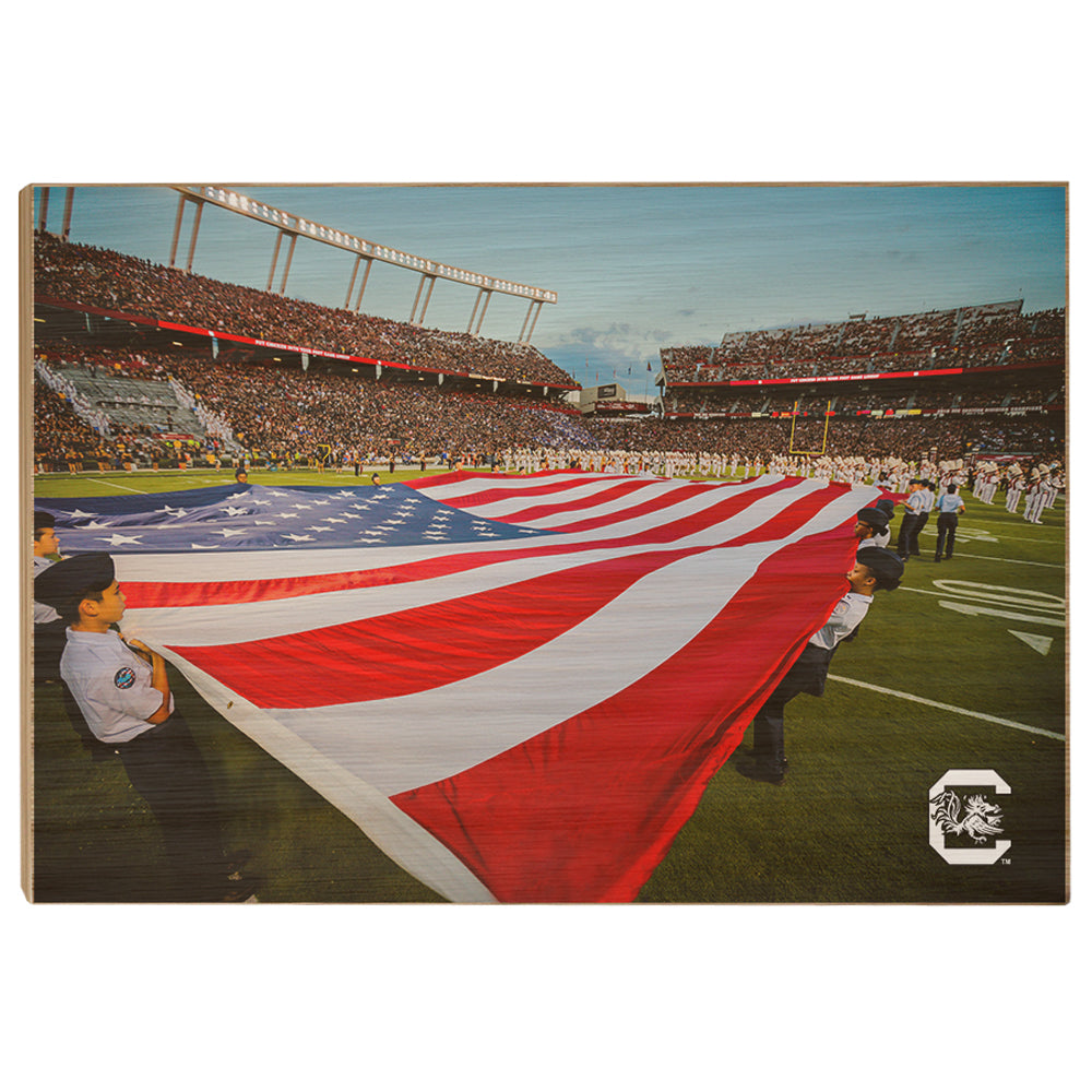 South Carolina Gamecocks - Made in America - College Wall Art #Canvas