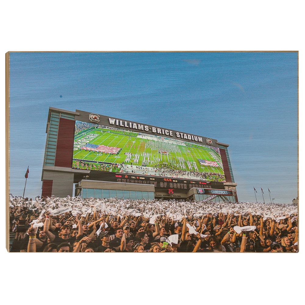 South Carolina Gamecocks - Space Odyssey - College Wall Art #Canvas