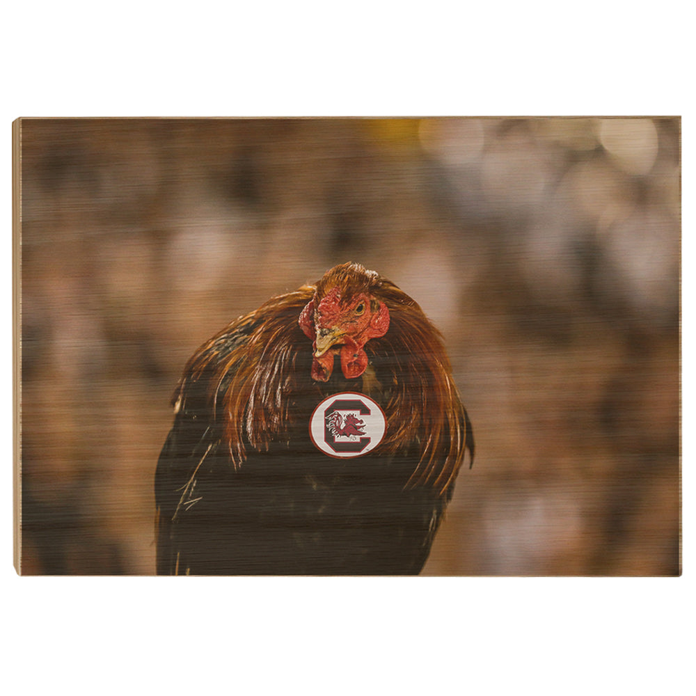South Carolina Gamecocks - Big Spur - College Wall Art #Canvas