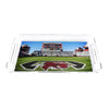 South Carolina Gamecocks - Williams Brice From the 50 Tray