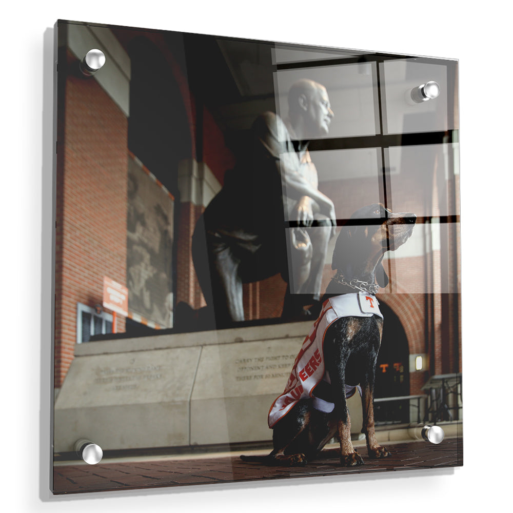 Tennessee Volunteers - Poised - College Wall Art #Canvas