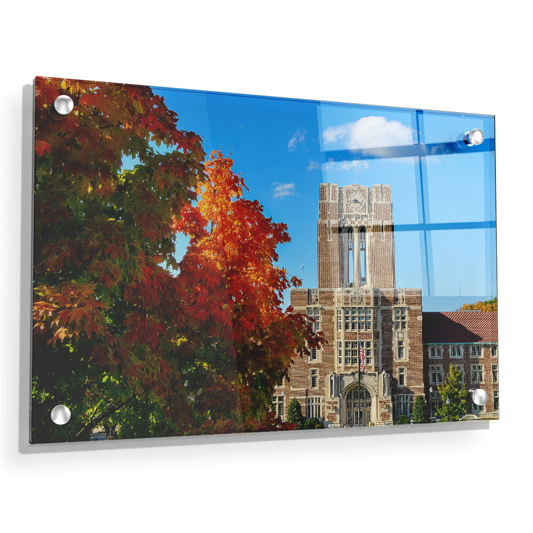 Tennessee Volunteers - Ayres Fall - College Wall Art #Canvas