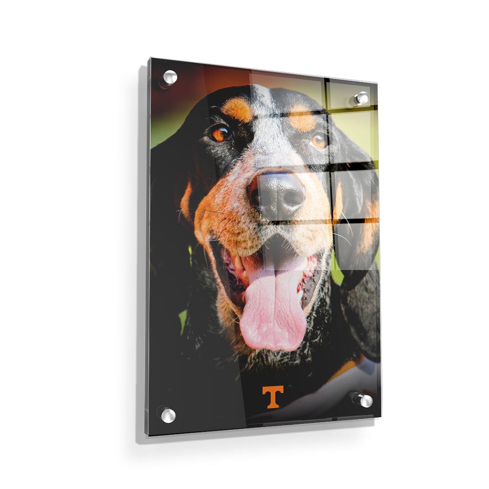 Tennessee Volunteers - Smokey Smiles - College Wall Art #Canvas