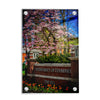 Tennessee Volunteers - Spring on the Hill - College Wall Art #Acrylic