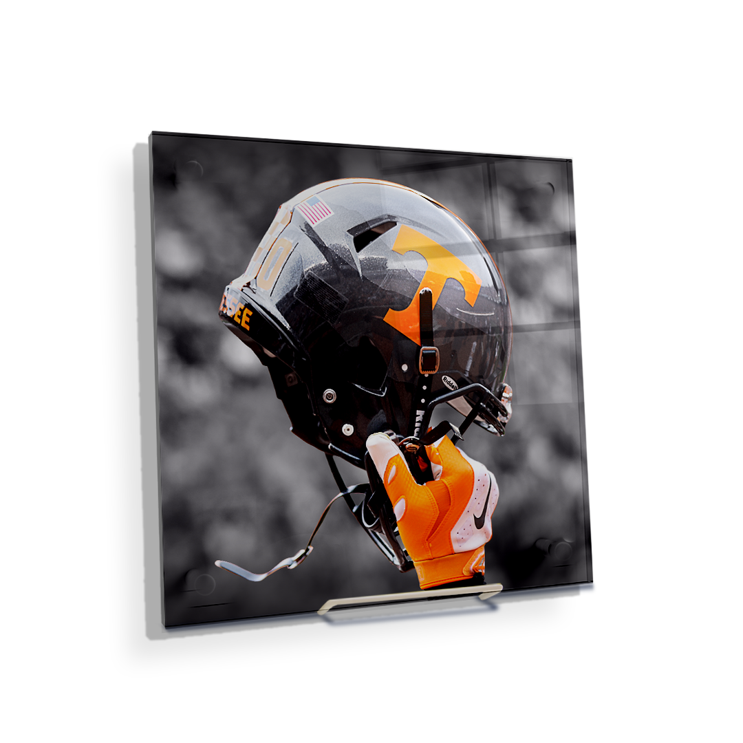 Tennessee Volunteers