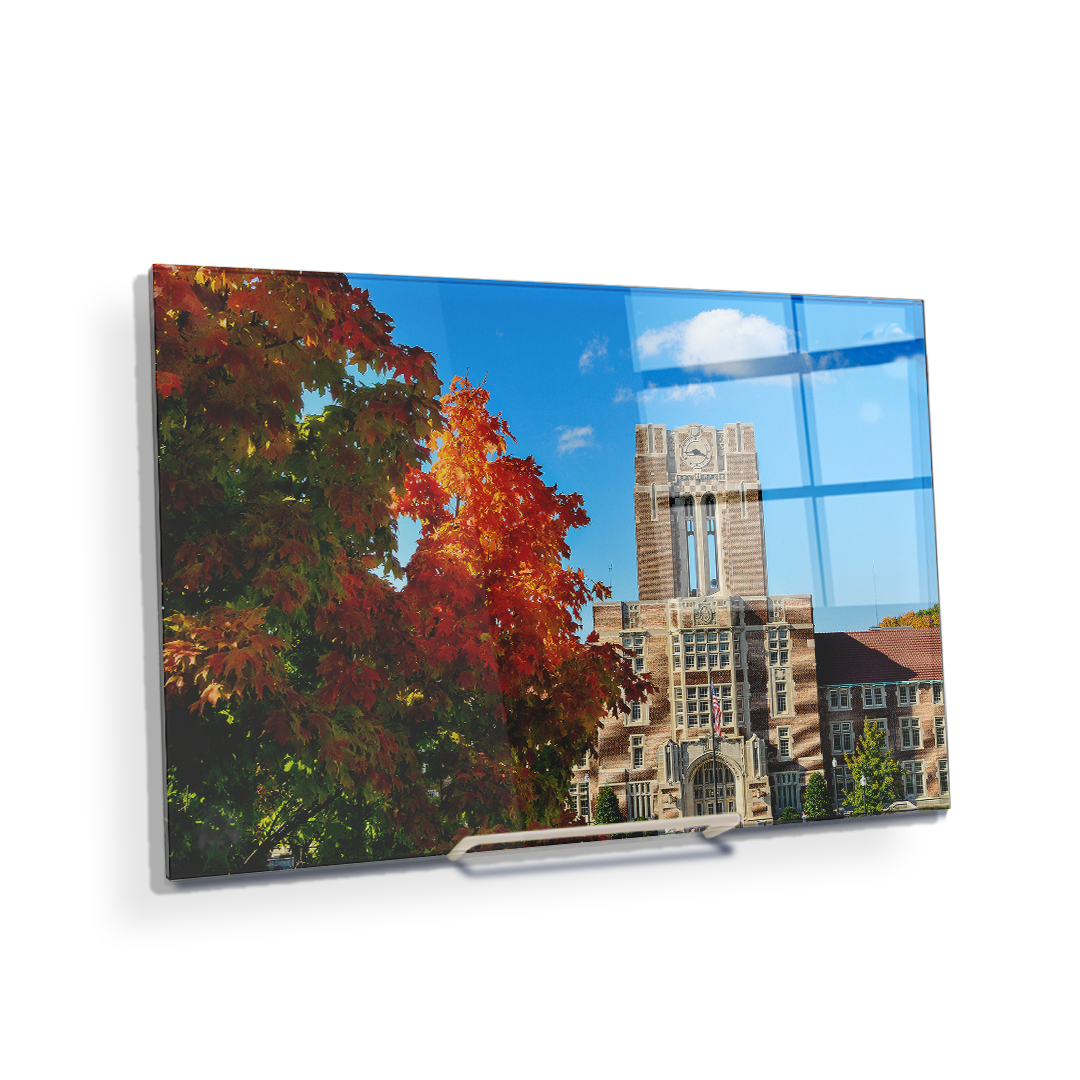 Tennessee Volunteers - Ayres Fall - College Wall Art #Canvas