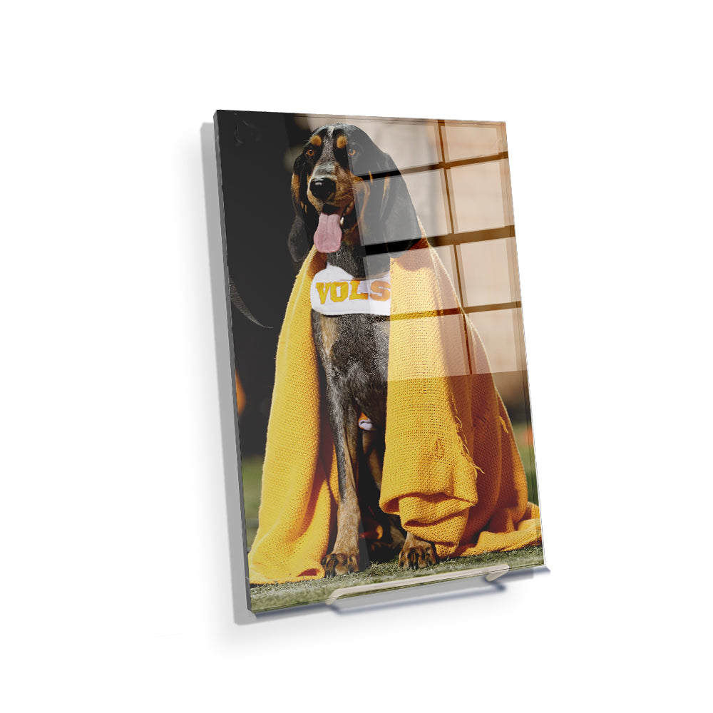 Tennessee Volunteers - Smokey's Blanket - College Wall Art #Canvas