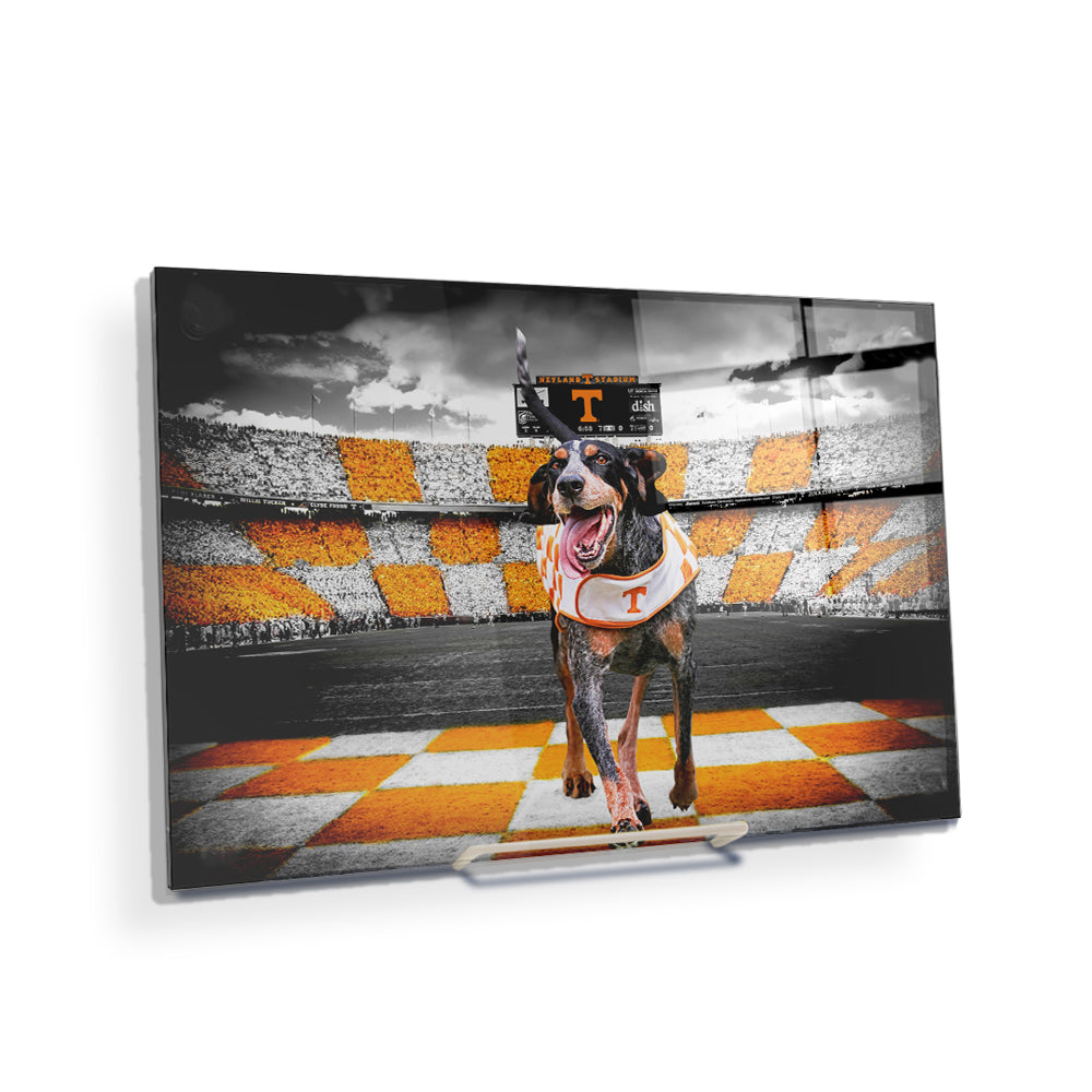 Tennessee Volunteers - Smokey's Backyard - College Wall Art #Canvas