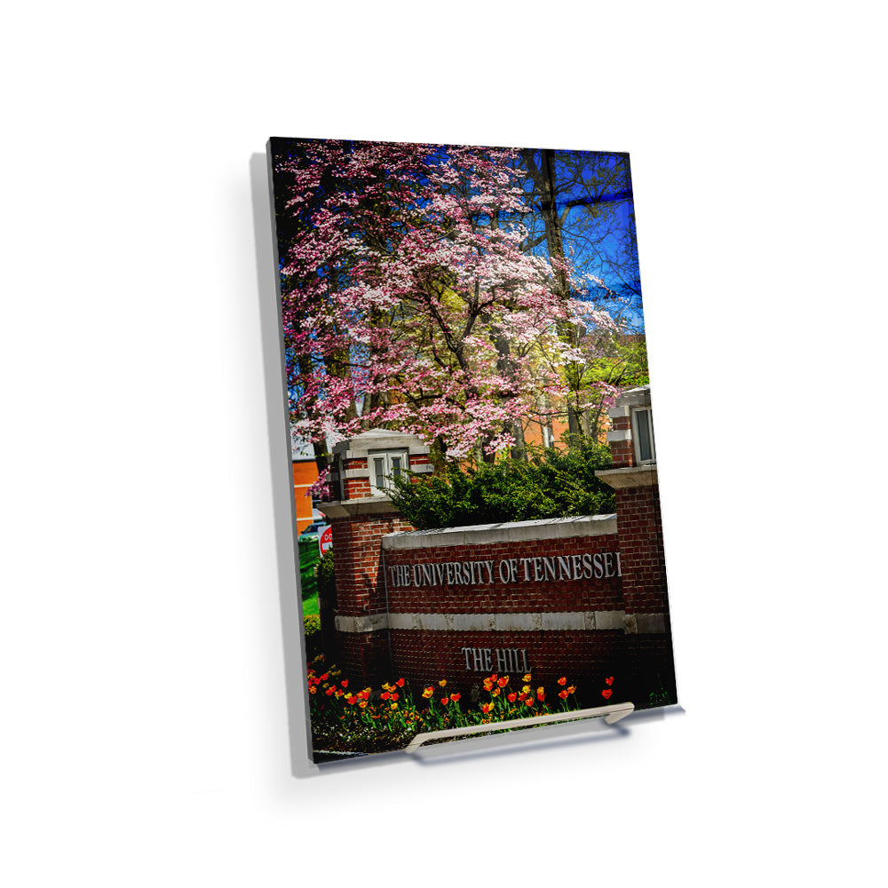Tennessee Volunteers - Spring on the Hill - College Wall Art #Canvas
