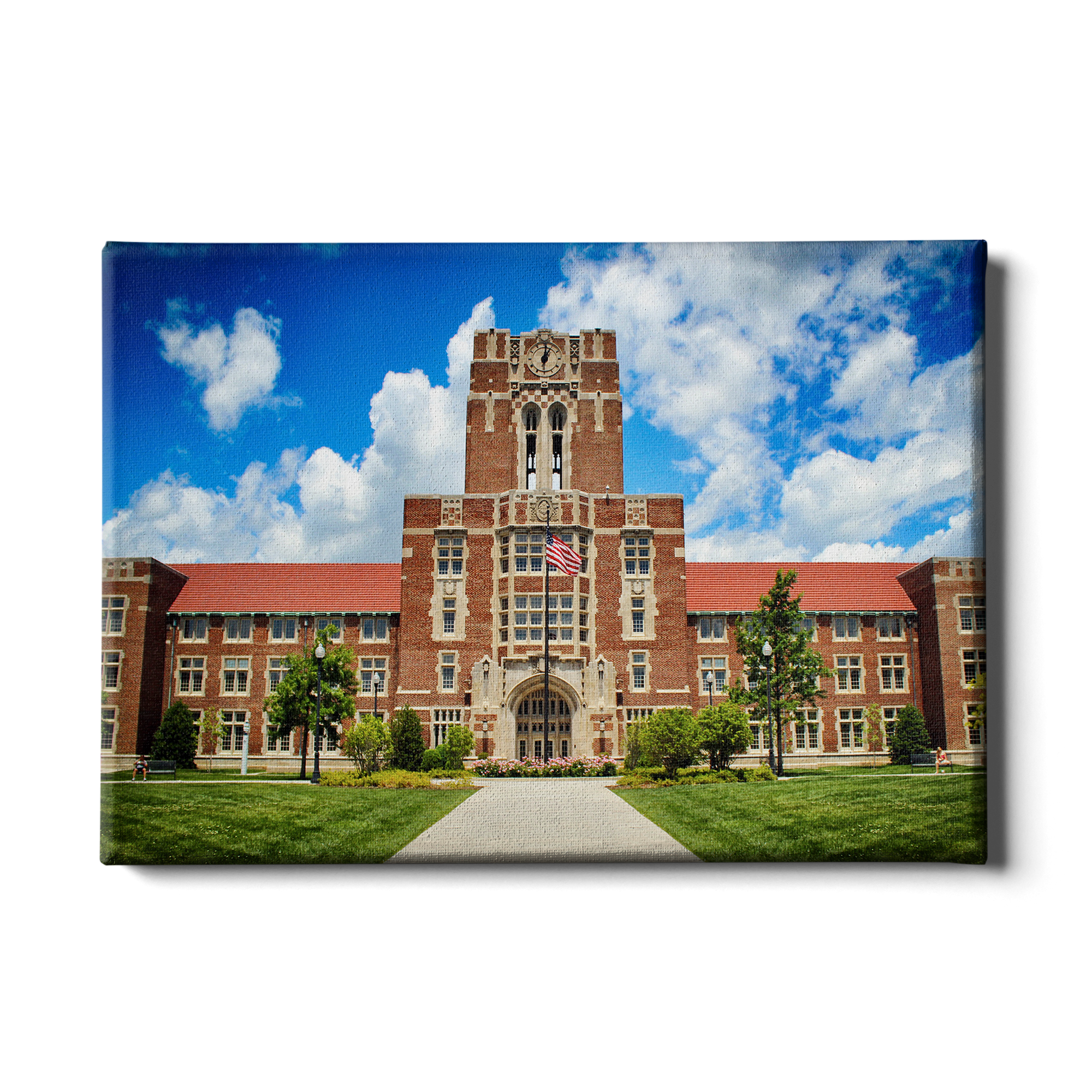 Tennessee Volunteers - Ayres Color - College Wall Art #Canvas