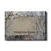 Tennessee Volunteers - Snowy Thompson-Boling - College Wall Art #Canvas