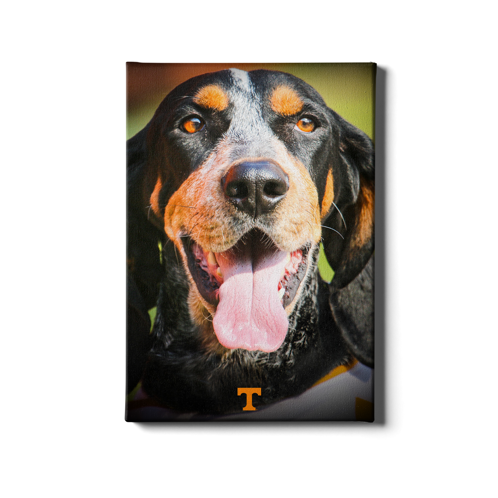 Tennessee Volunteers - Smokey Smiles - College Wall Art #Canvas