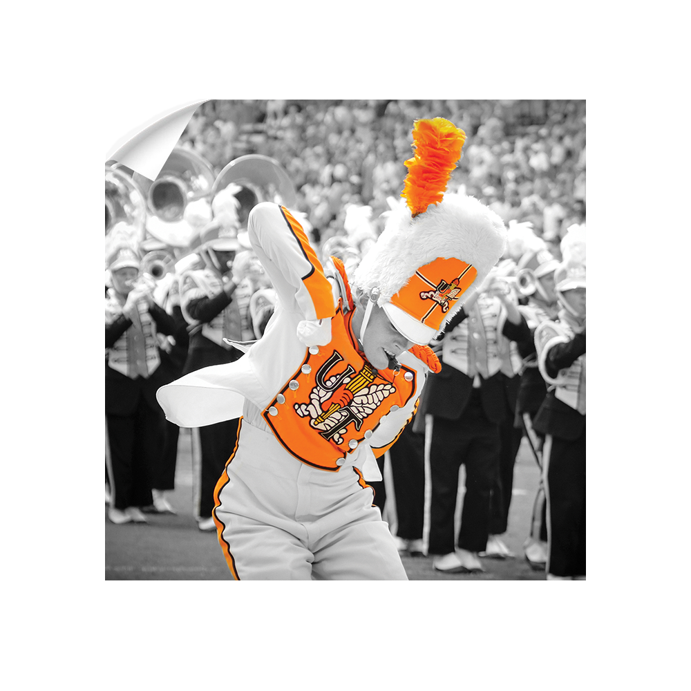 Tennessee Volunteers - Drum Major - College Wall Art #Canvas