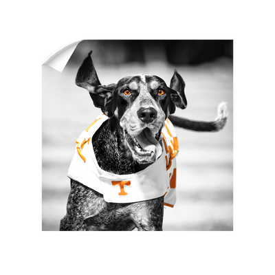 Tennessee Volunteers - Smokey TD - College Wall Art #Wall Decal