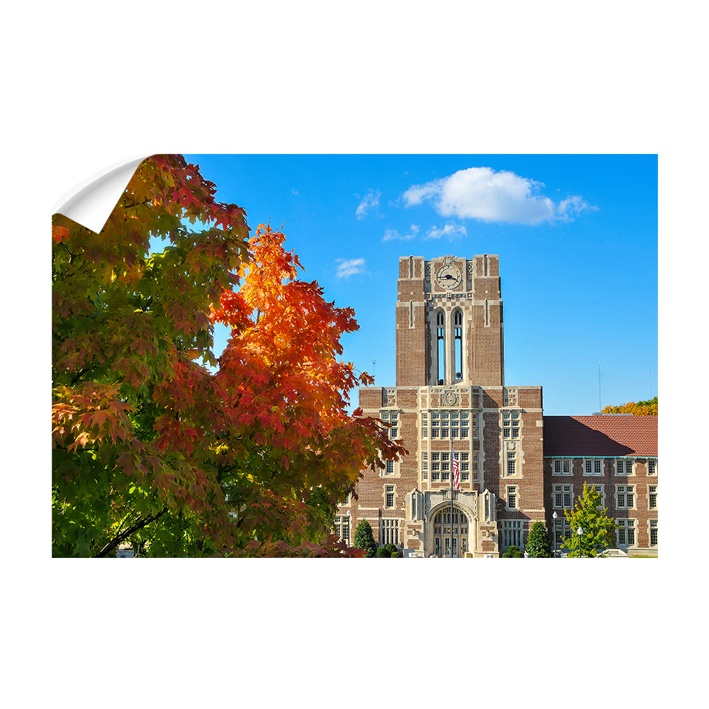 Tennessee Volunteers - Ayres Fall - College Wall Art #Canvas