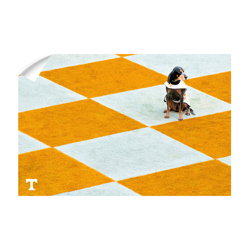 Tennessee Volunteers - Checkerboard Smokey - College Wall Art #Canvas