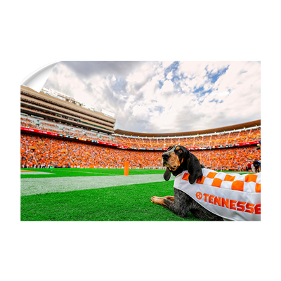 Tennessee Volunteers - Smokey's Tennessee - College Wall Art #Wall Decal