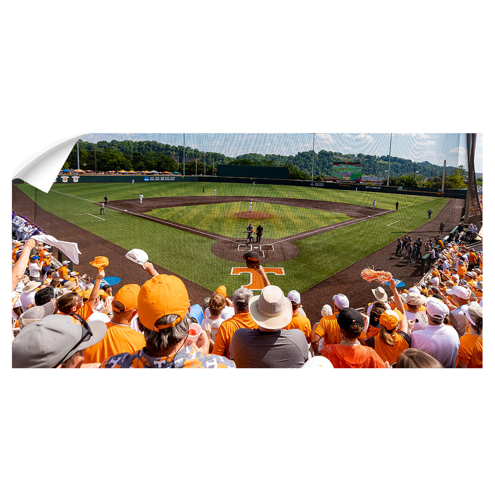 Tennessee Volunteers - Its's Out of Here -College Wall Art #Canvas