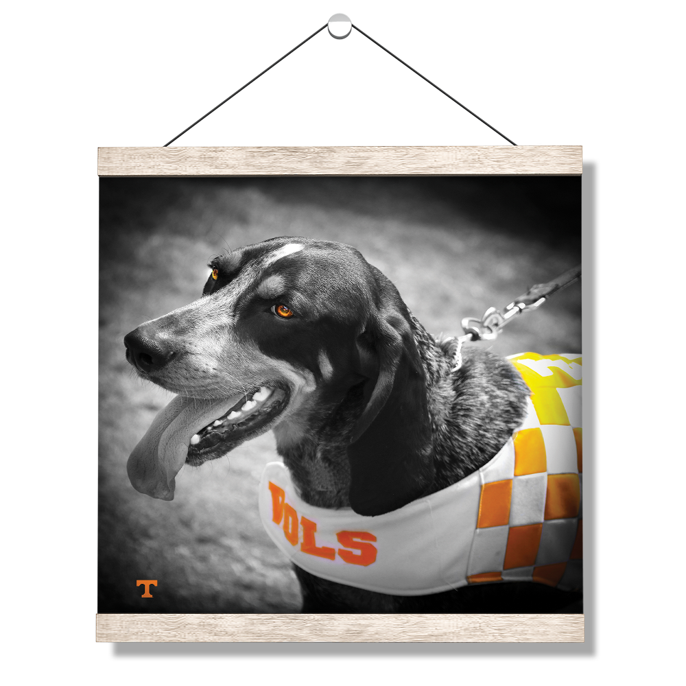 Tennessee Volunteers - Smokey Orange - College Wall Art #Canvas 