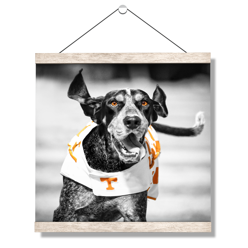 Tennessee Volunteers - Smokey TD - College Wall Art #Canvas