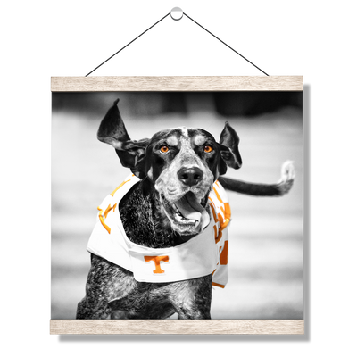 Tennessee Volunteers - Smokey TD - College Wall Art #Hanging Canvas