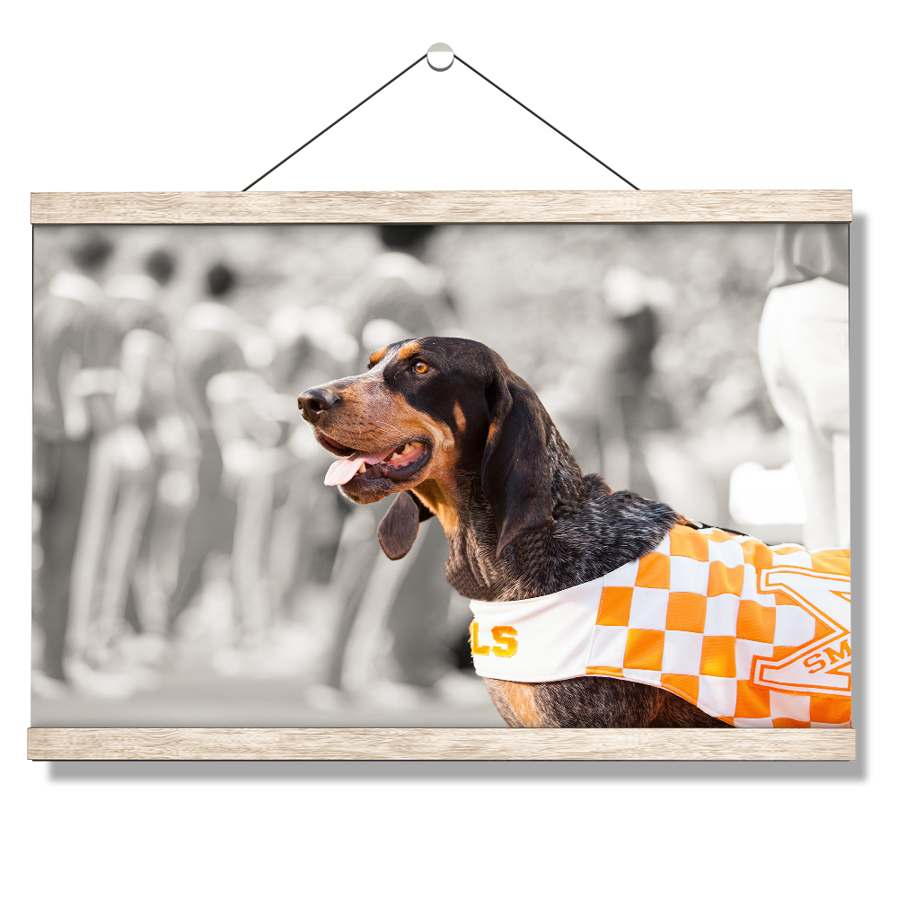 Tennessee Volunteers - Smokey X - College Wall Art #Canvas