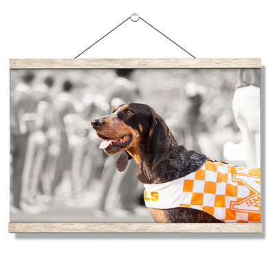 Tennessee Volunteers - Smokey X - College Wall Art #Hanging Canvas