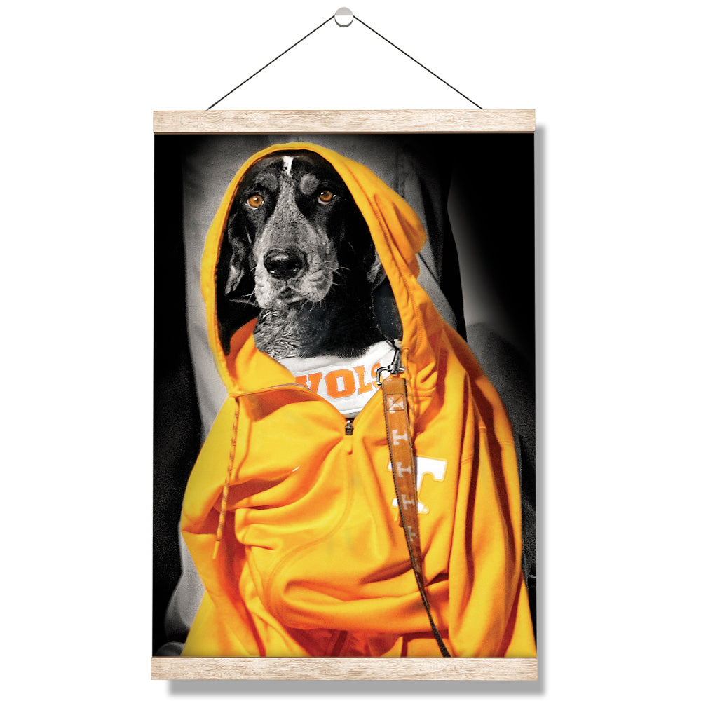 Tennessee Volunteers - Smokey Hood - College Wall Art #Canvas