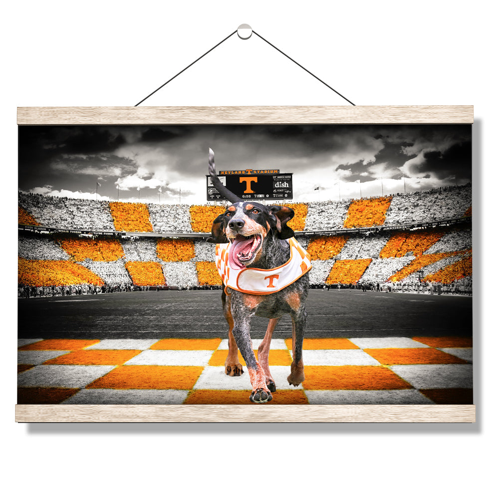 Tennessee Volunteers - Smokey's Backyard - College Wall Art #Canvas
