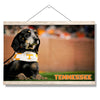 Tennessee Volunteers - Smokey - College Wall Art #Hanging Canvas