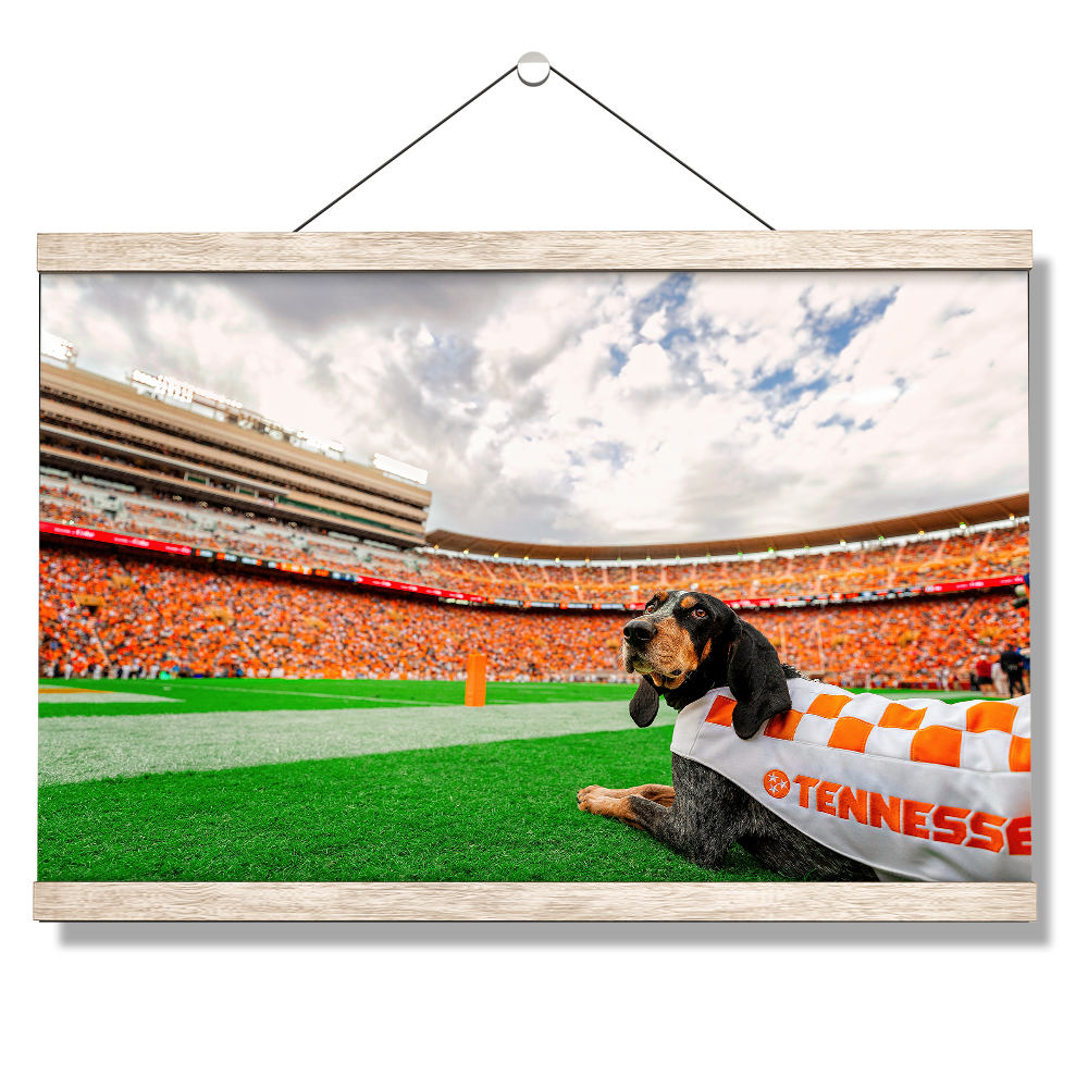 Tennessee Volunteers - Smokey's Tennessee - College Wall Art #Canvas