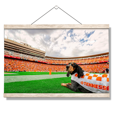 Tennessee Volunteers - Smokey's Tennessee - College Wall Art #Hanging Canvas
