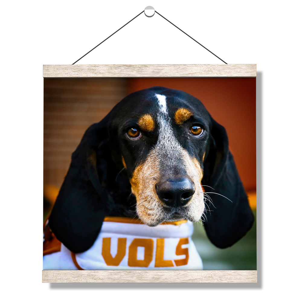 Tennessee Volunteers - TN Smokey Vols - College Wall Art #Canvas