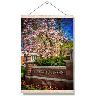 Tennessee Volunteers - Spring on the Hill - College Wall Art #Hanging Canvas